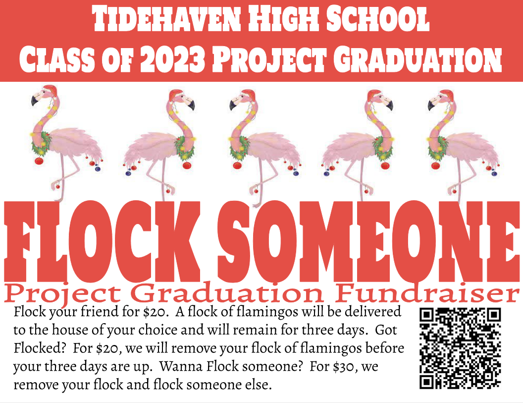 Flocked Flamingos Flyer